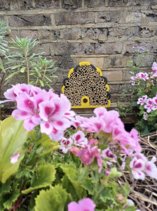 bug hotel bee house