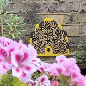 bug hotel bee house