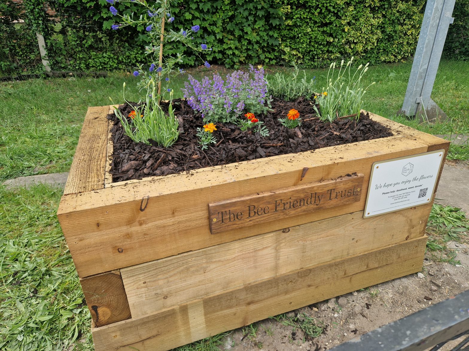 Furze Platt Railway Station Bee Friendly Trust planter