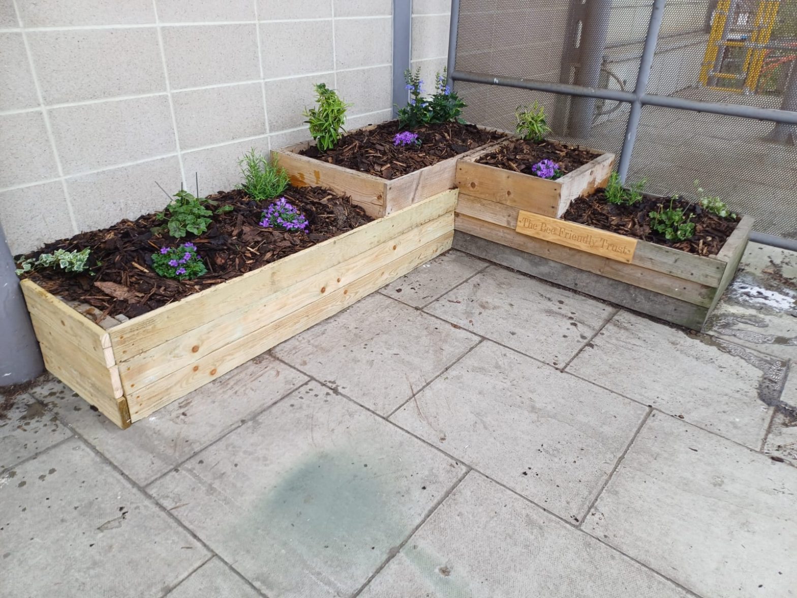 Bee Friendly Trust Houslow East