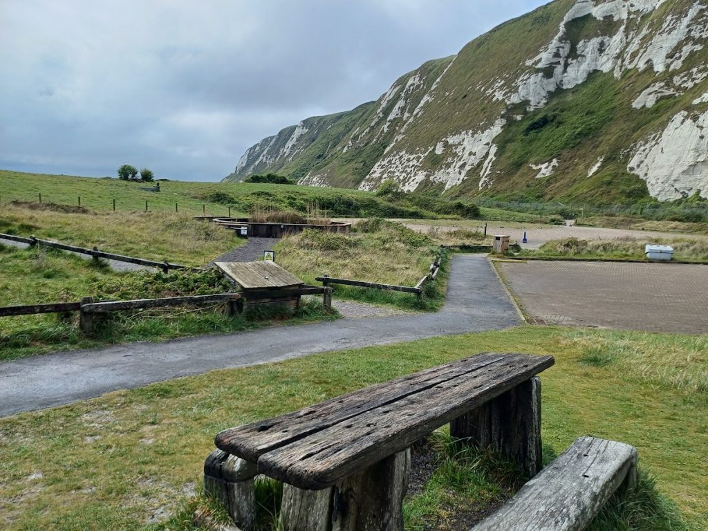 Bee Friendly Trust Summer Solstice Samphire Hoe