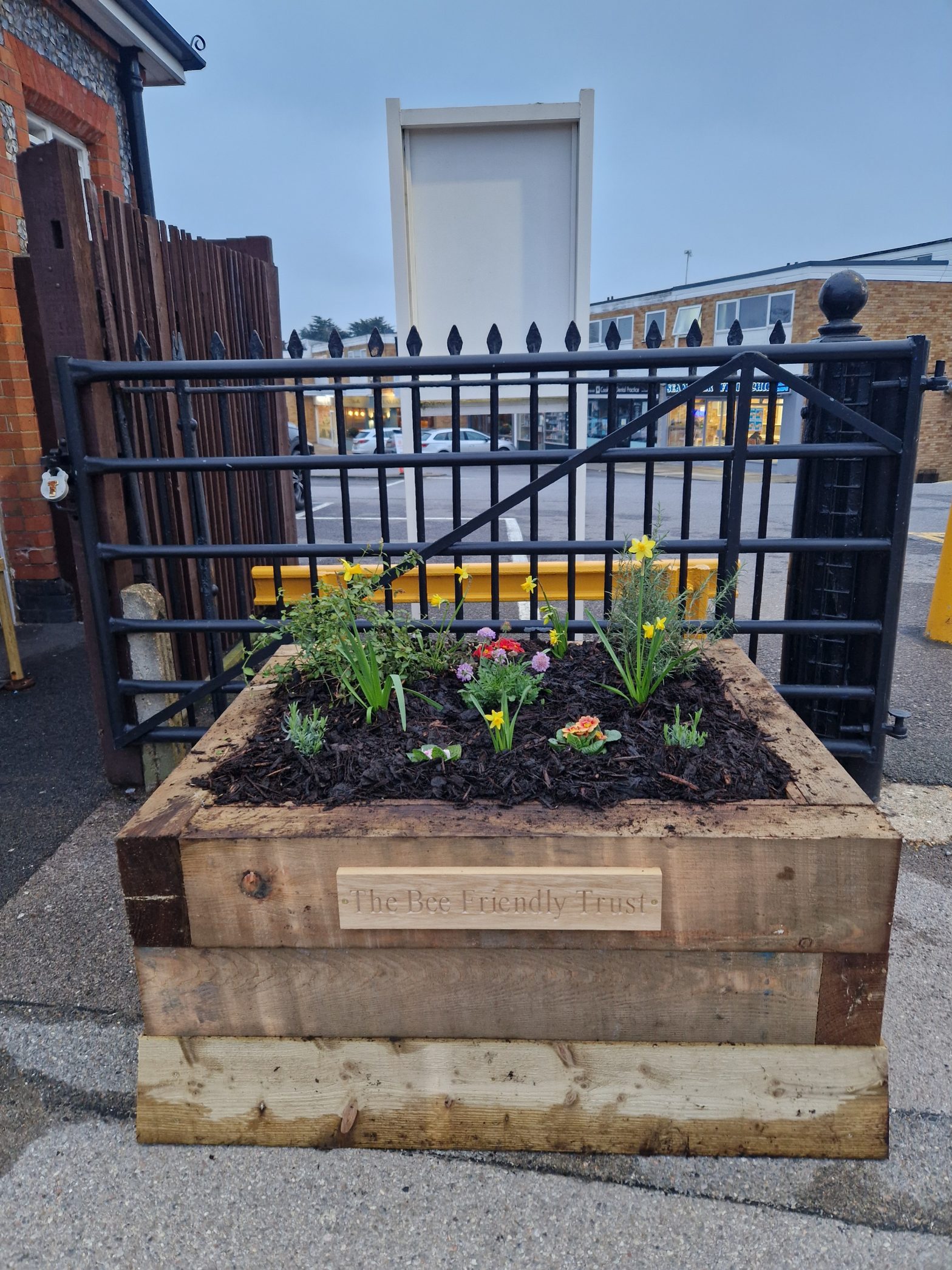 Bee Friendly Trust railway station planter flowers