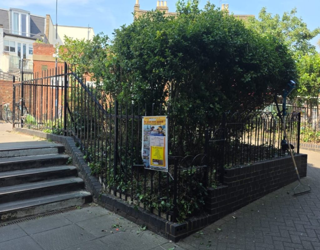 bee friendly trust